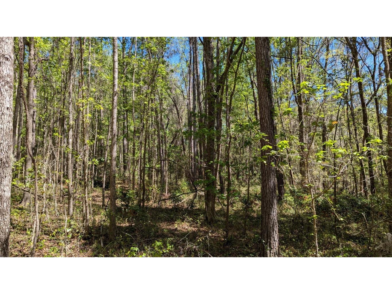 00 NW 35th Avenue Gainesville FL 32606 GC529262 image1