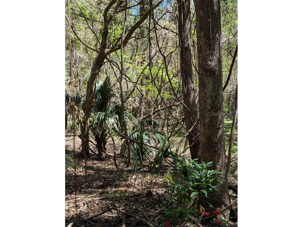 00 NW 35th Avenue Gainesville FL 32606 GC529262 image3