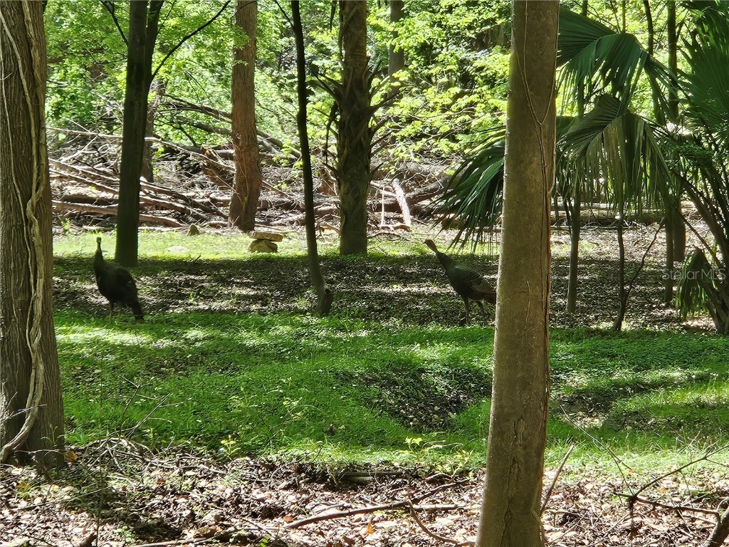 00 NW 35th Avenue Gainesville FL 32606 GC529262 image4