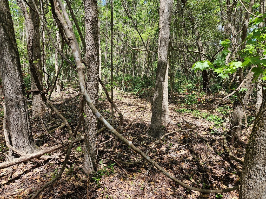 00 NW 35th Avenue Gainesville FL 32606 GC529262 image5