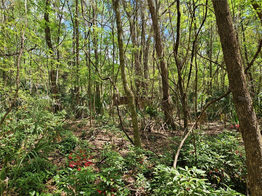 00 NW 35th Avenue Gainesville FL 32606 GC529262 image6