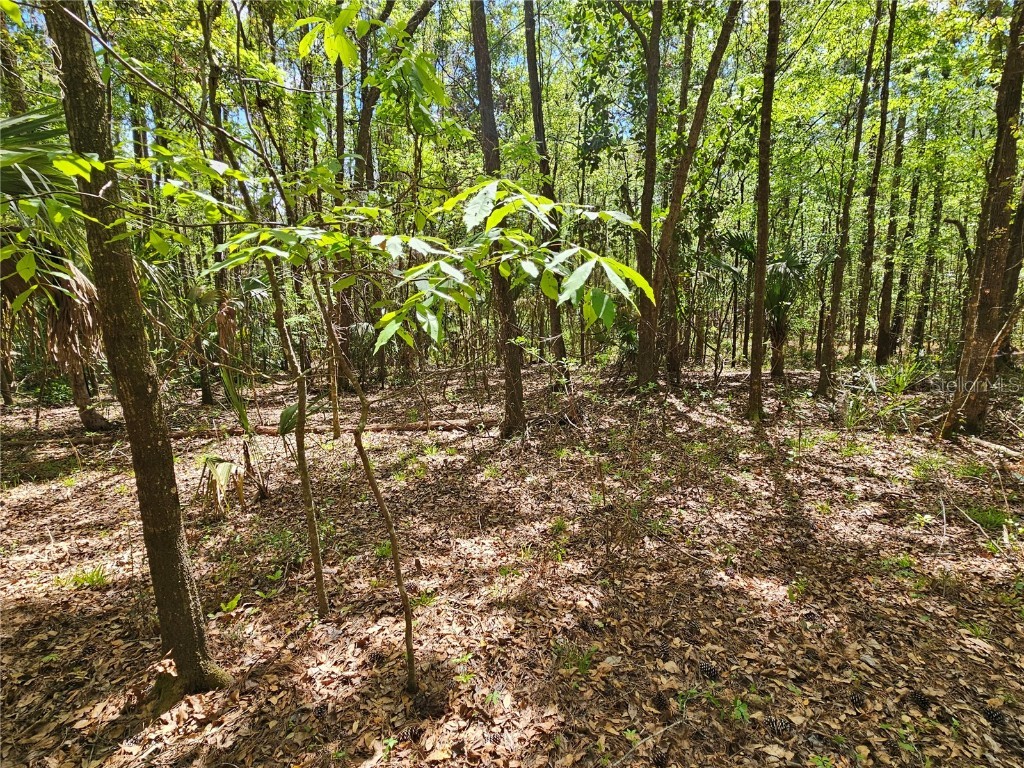 00 NW 35th Avenue Gainesville FL 32606 GC529262 image8