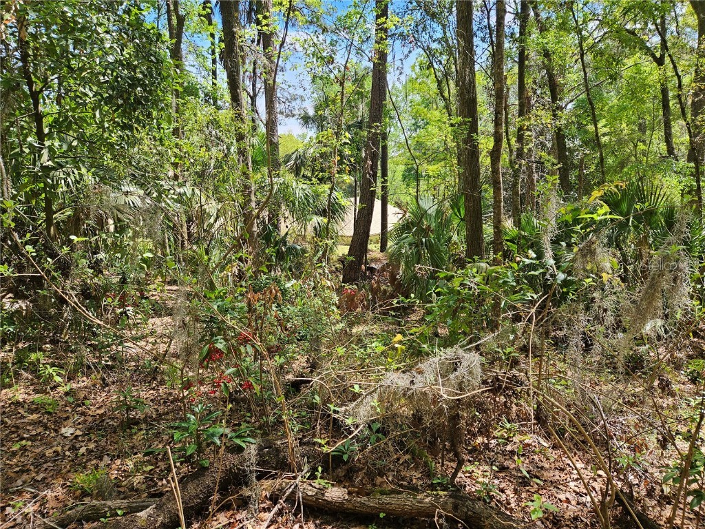 00 NW 35th Avenue Gainesville FL 32606 GC529262 image9