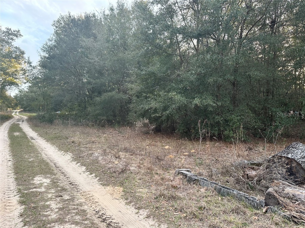 00 NW 52nd Court Ocala FL 34482 OM652790 image1