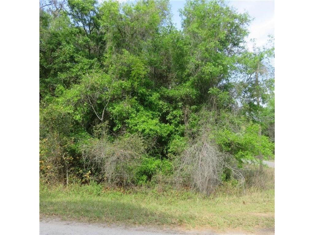 00 NW 56 Terrace Ocala FL 34481 OM651606 image1