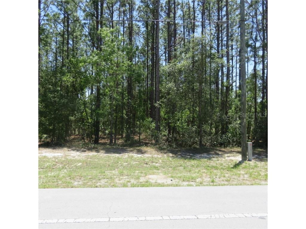 00 NW 56th Terrace Ocala FL 34481 OM657727 image1