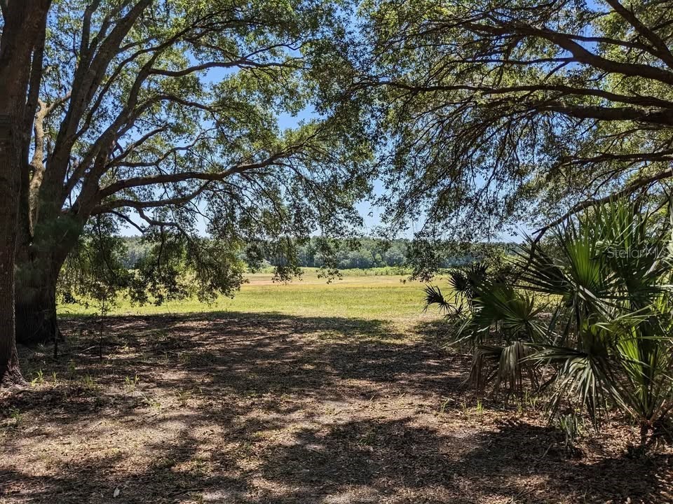 00 NW 60th Avenue Chiefland FL 32626 OM727862 image3