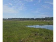 00 NW 60th Avenue Chiefland FL 32626 OM727862 image5