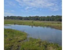 00 NW 60th Avenue Chiefland FL 32626 OM727862 image6