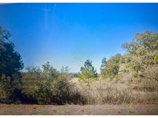 00 NW 60th Avenue Chiefland FL 32626 OM727862 image8