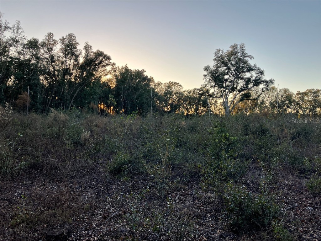 00 NW 70th Avenue Alachua FL 32615 GC517582 image1