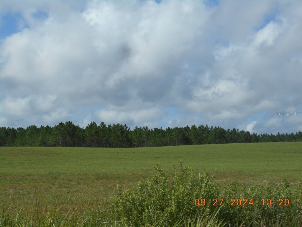 00 NW 72 Place Bell FL 32619 GC524630 image1