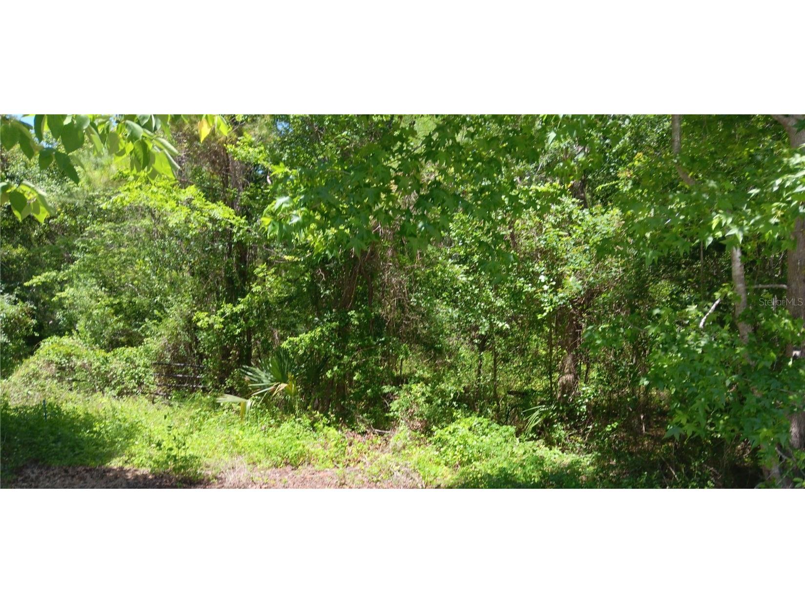 00 NW 82 Court Ocala FL 34482 OM701778 image1