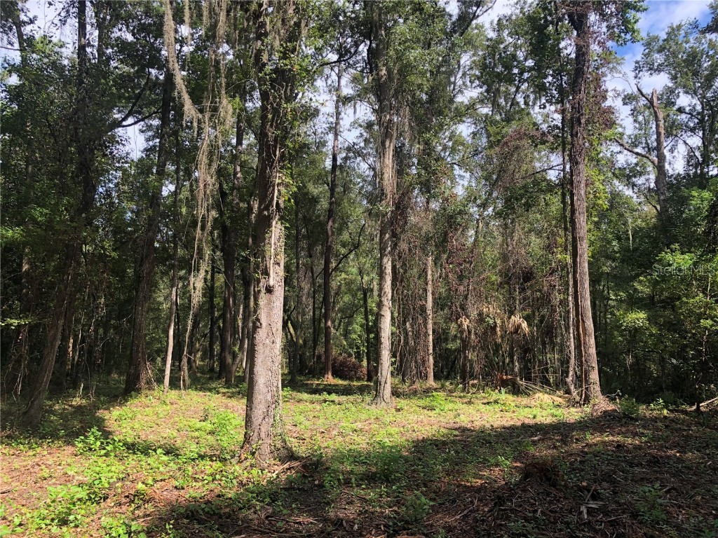 00 NW 83rd Court Ocala FL 34482 OM665205 image1