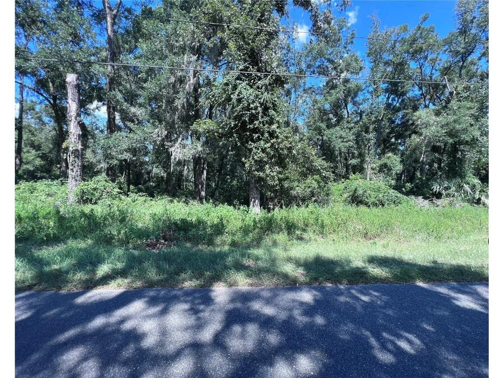 00 NW 90th Court Fanning Springs FL 32693 W7867802 image1