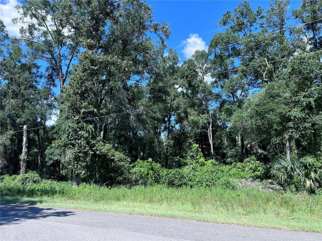 00 NW 90th Court Fanning Springs FL 32693 W7867802 image3