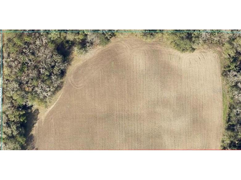 00 NW 93rd Avenue Micanopy FL 32667 O6113539 image1