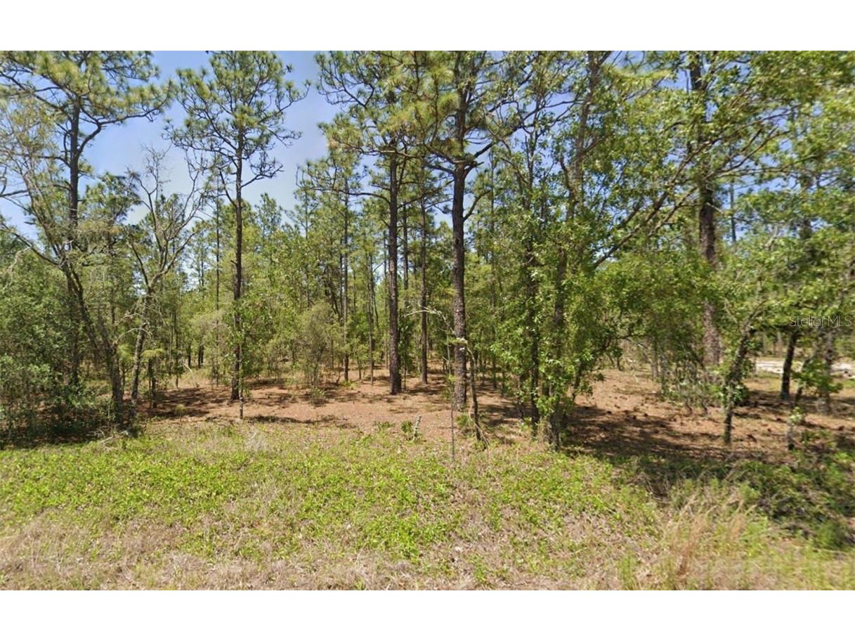 00 NW Amberjack Avenue Dunnellon FL 34431 OM698597 image1