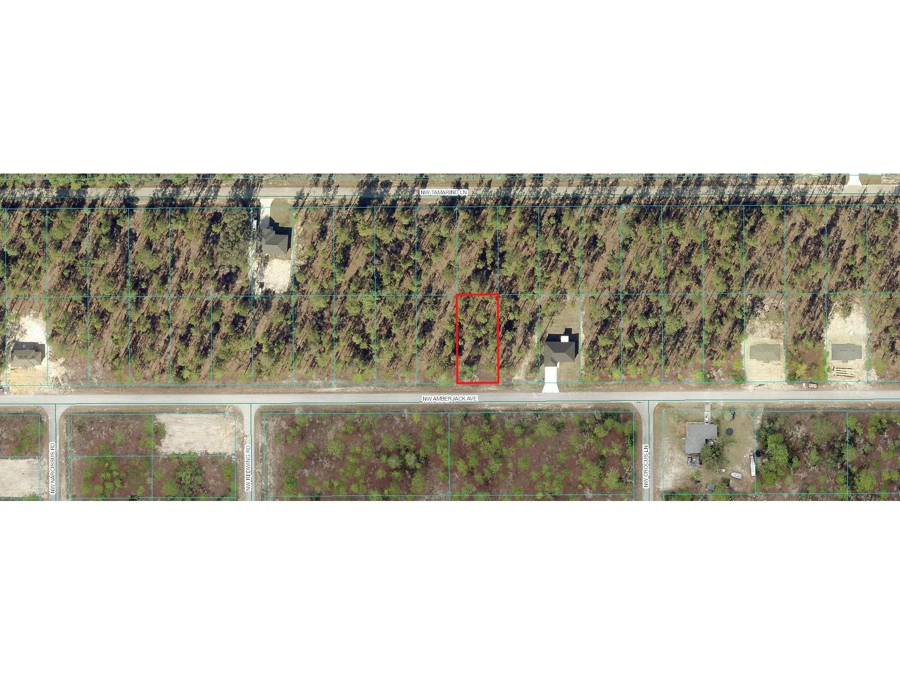 00 NW Amberjack Avenue Dunnellon FL 34431 OM699014 image1