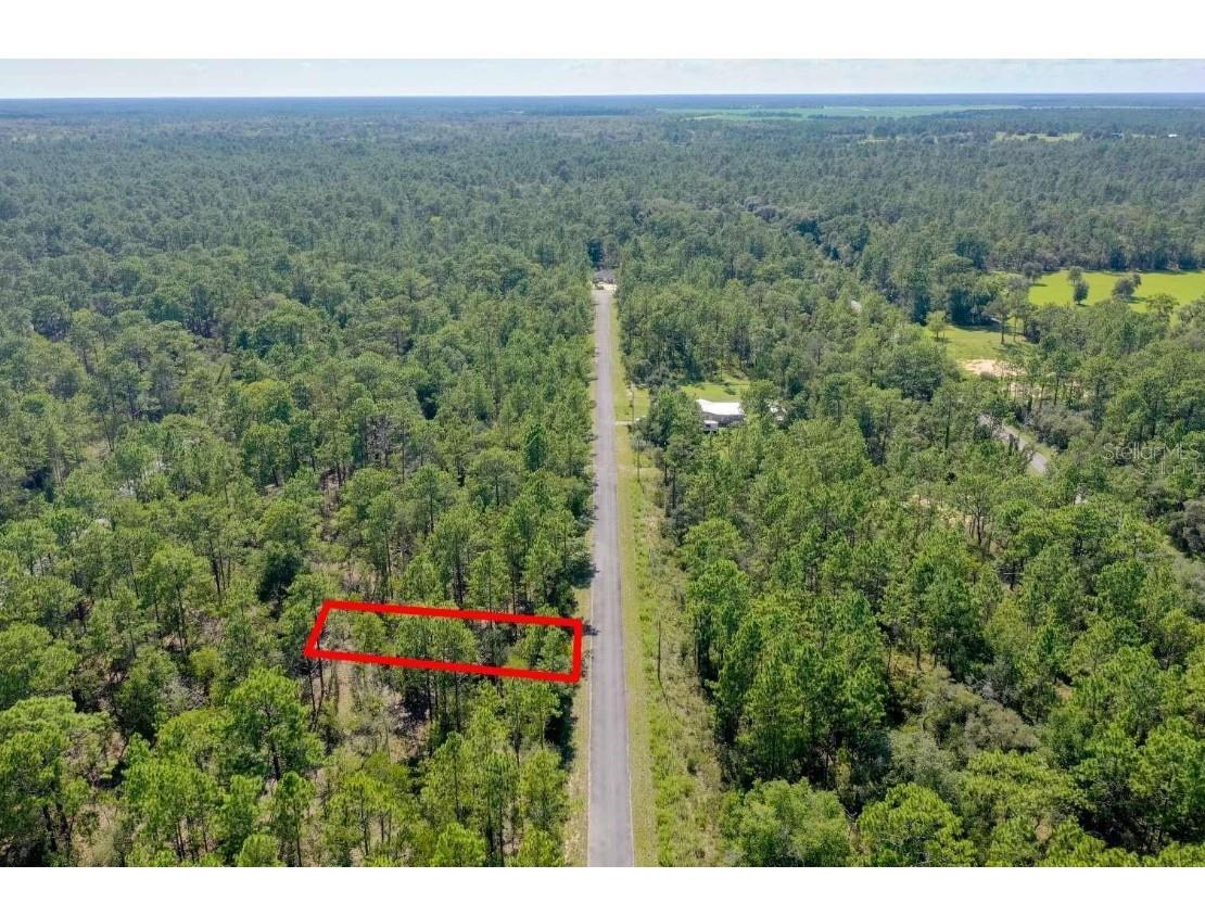 00 NW Aspen Lane Dunnellon FL 34431 OM666413 image1