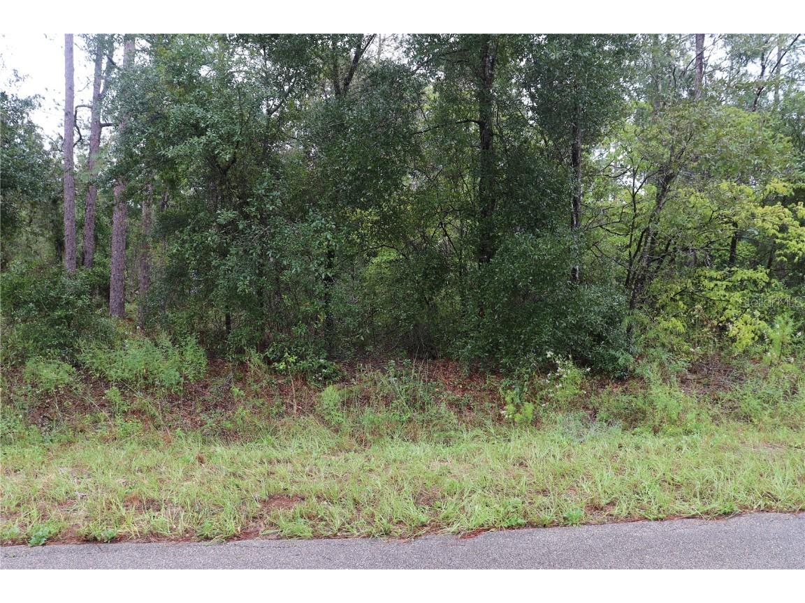 00 NW Beuna Vista Road Dunnellon FL 34431 OM710282 image2