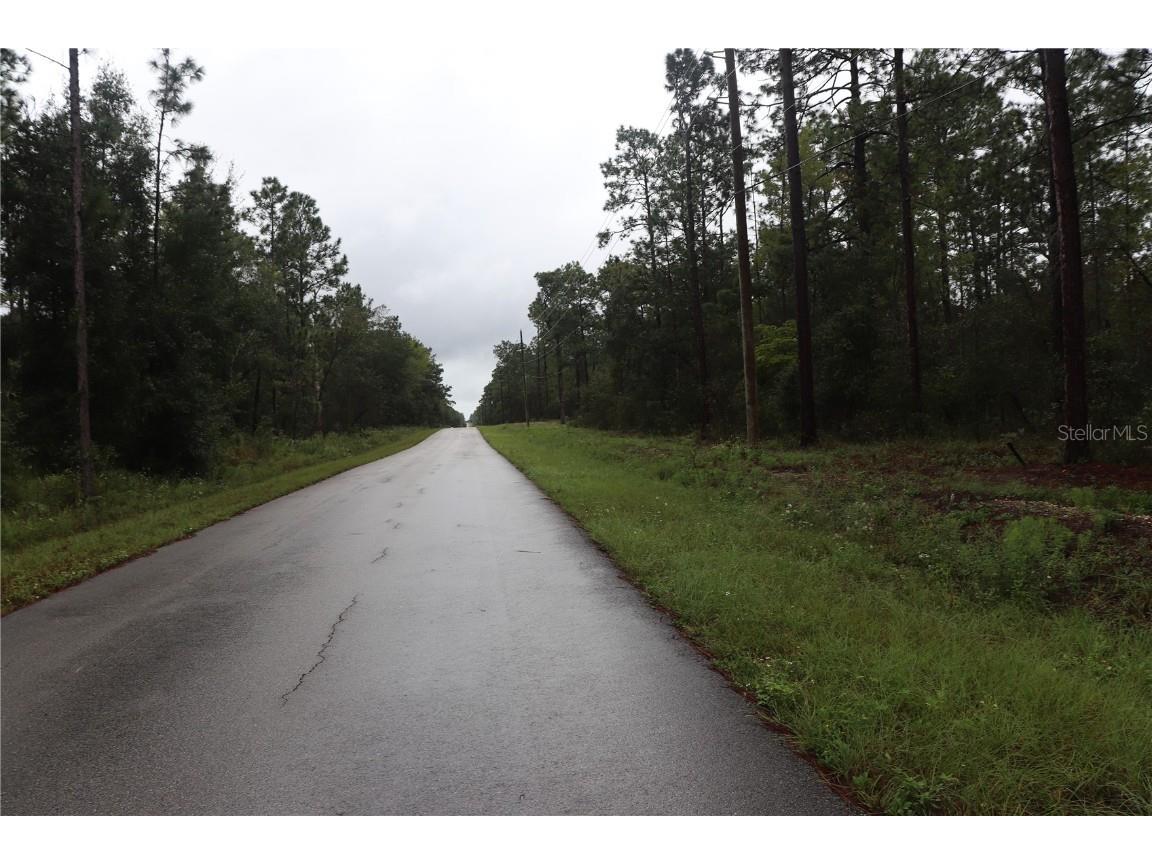 00 NW Beuna Vista Road Dunnellon FL 34431 OM710282 image3