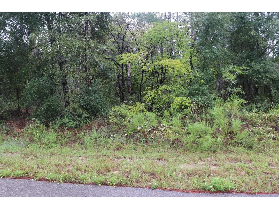 00 NW Beuna Vista Road Dunnellon FL 34431 OM710282 image4