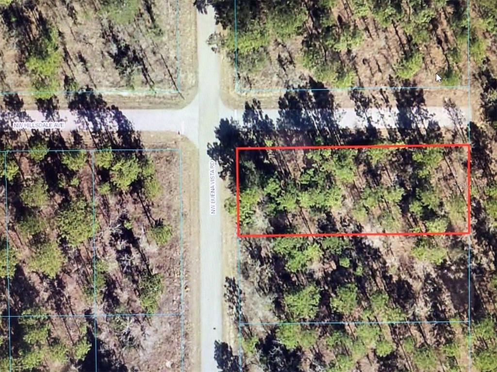 00 NW Buena Vista Road Dunnellon FL 34431 OM658876 image1