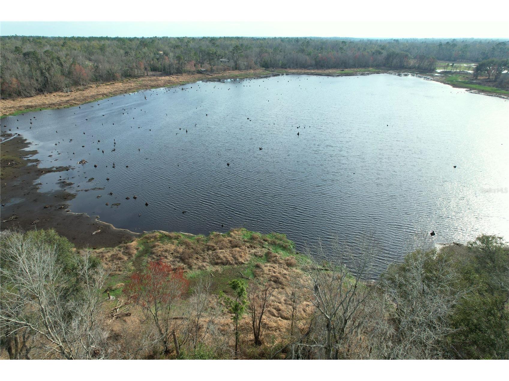 00 NW Bur Oak Place Jennings FL 32053 GC537927 image8