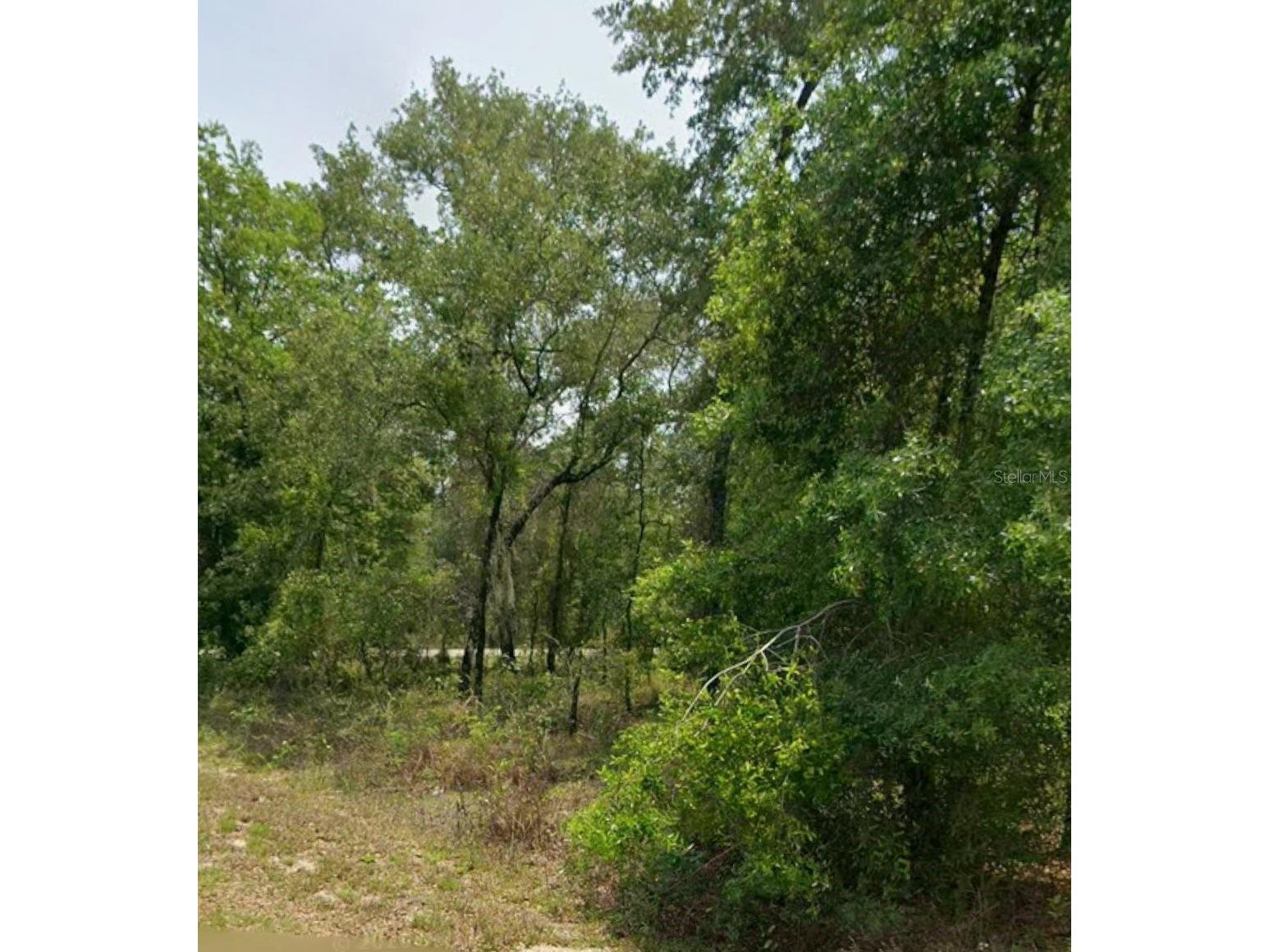 00 NW Highview Avenue Dunnellon FL 34431 OM728488 image2