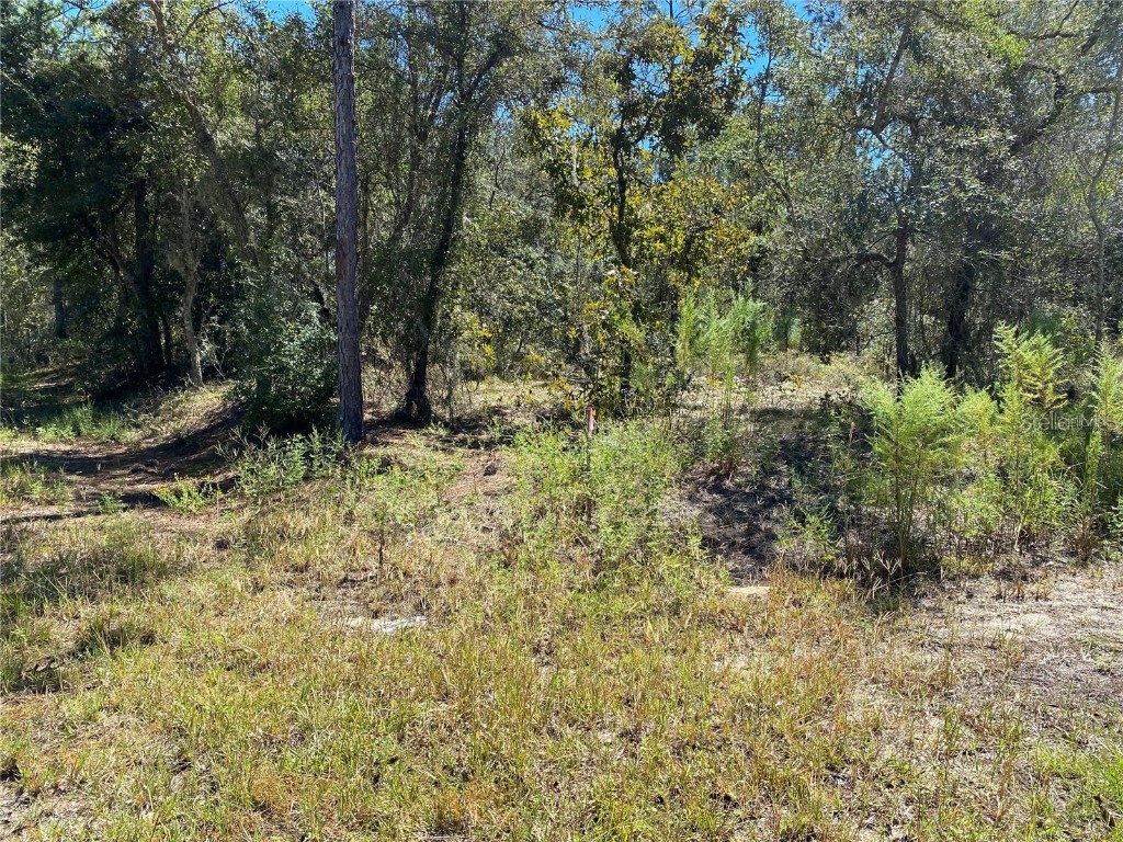 00 NW Luna Avenue Dunnellon FL 34431 OM666949 image1