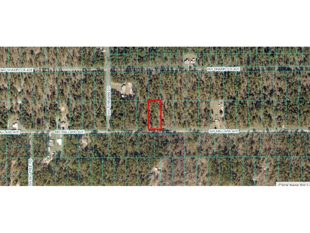 00 NW Mallard Avenue Dunnellon FL 34431 OM658012 image1