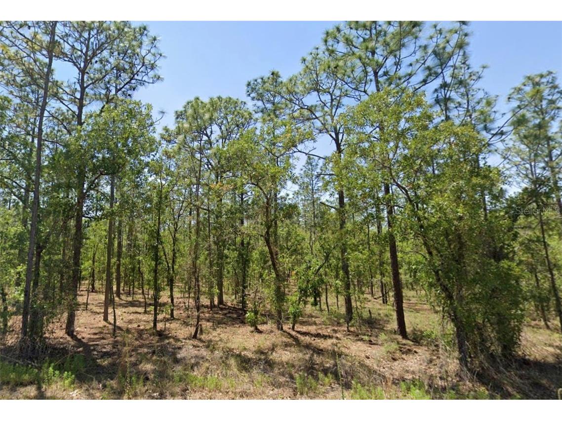 00 NW Narcissus Road Dunnellon FL 34431 OM715332 image1