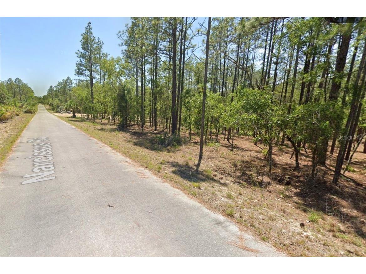 00 NW Narcissus Road Dunnellon FL 34431 OM715332 image2