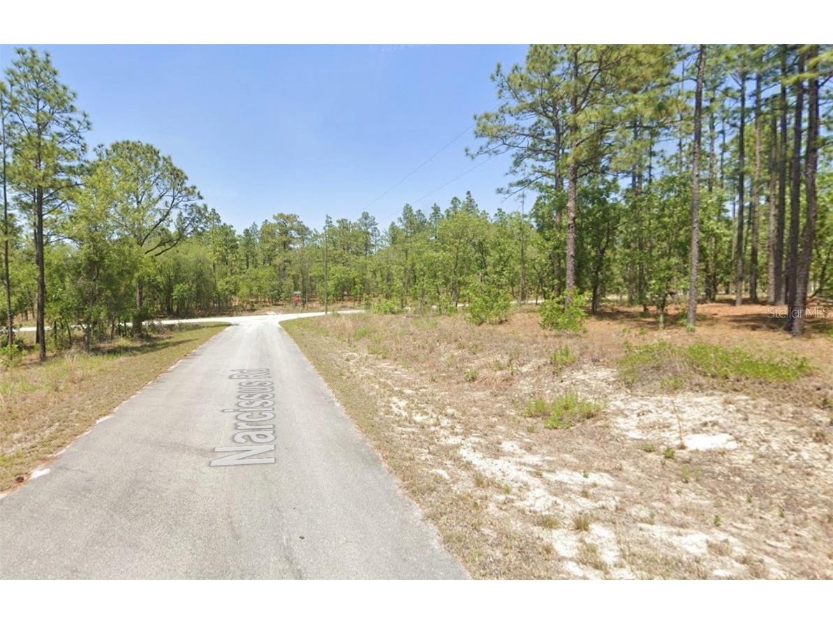 00 NW Narcissus Road Dunnellon FL 34431 OM715332 image3