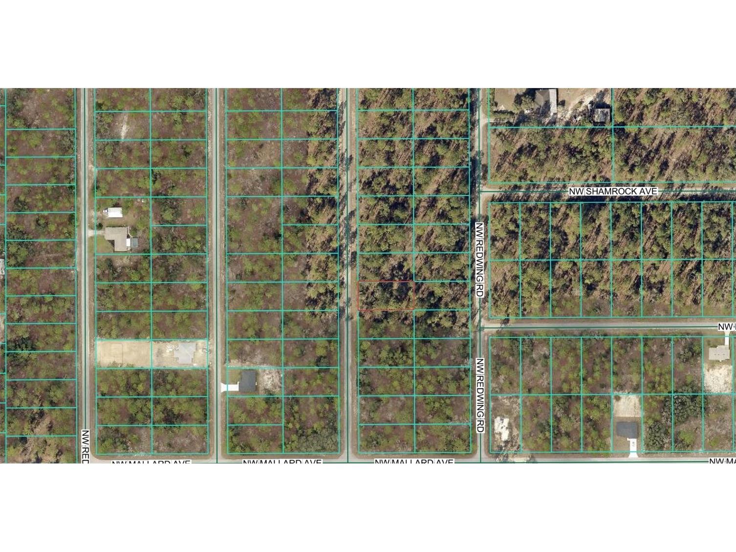 00 NW Narcissus Road Dunnellon FL 34431 OM715332 image4