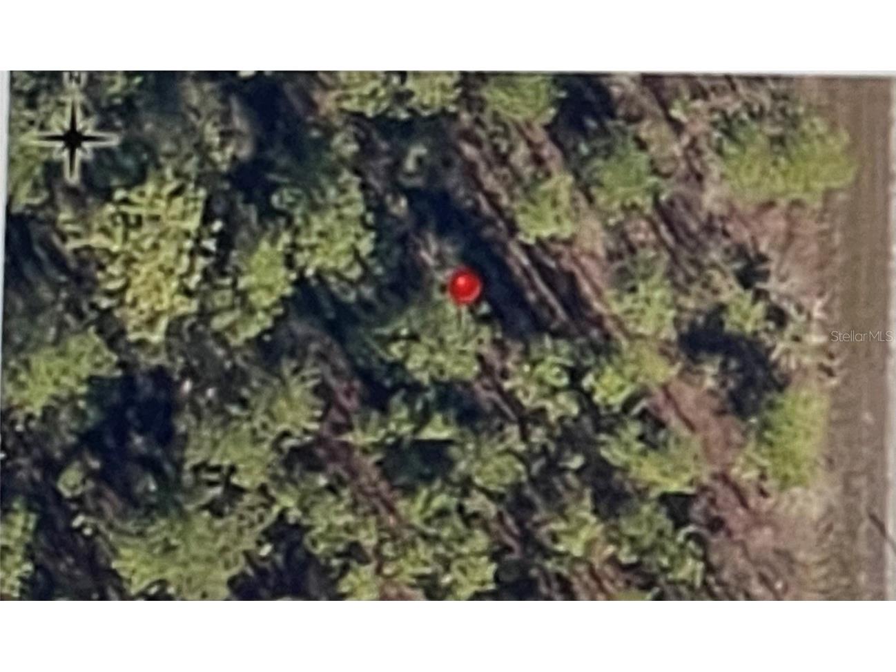 00 NW Redwing Road Dunnellon FL 34431 O6116461 image1