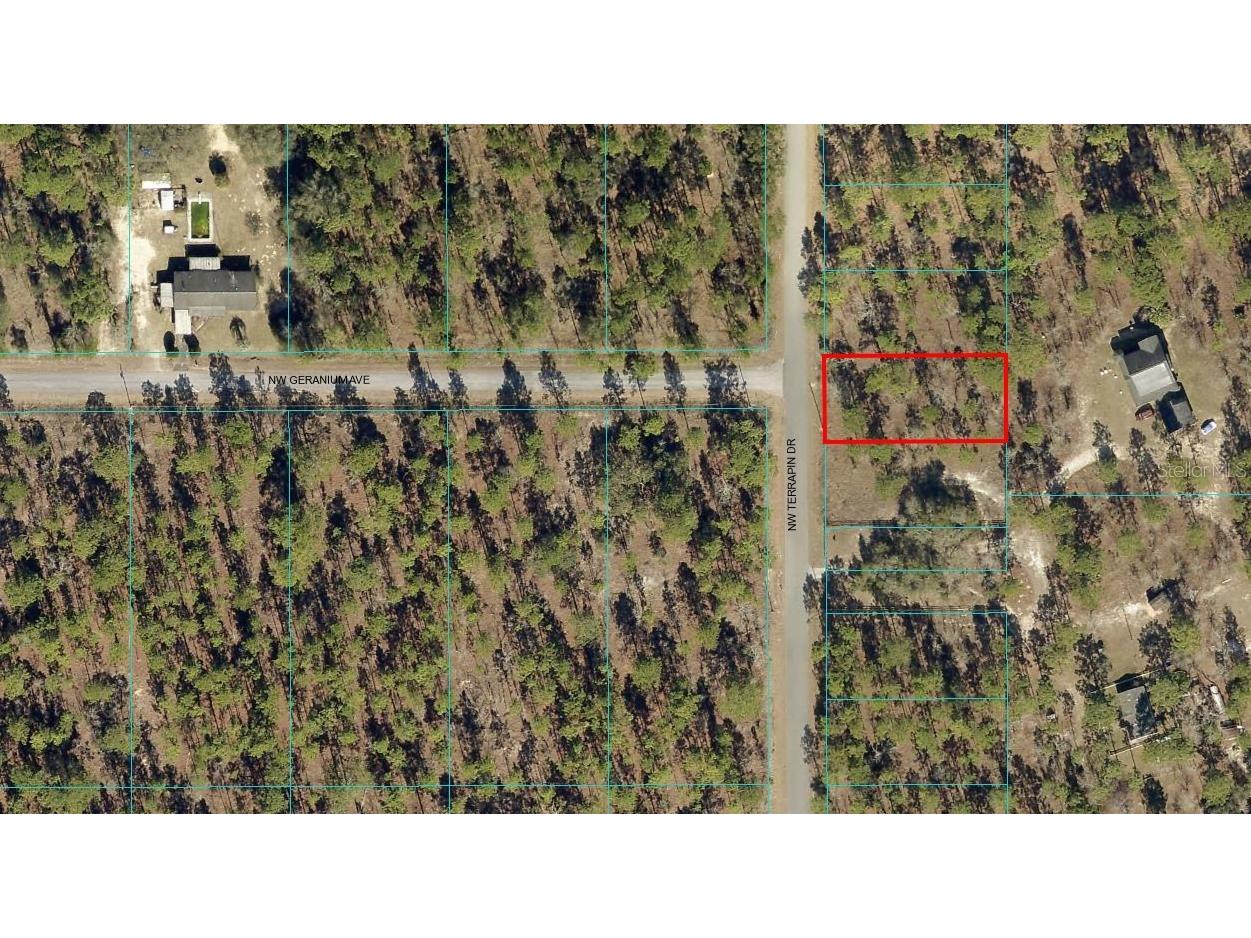 00 NW Terrapin Drive Dunnellon FL 34431 OM663219 image1