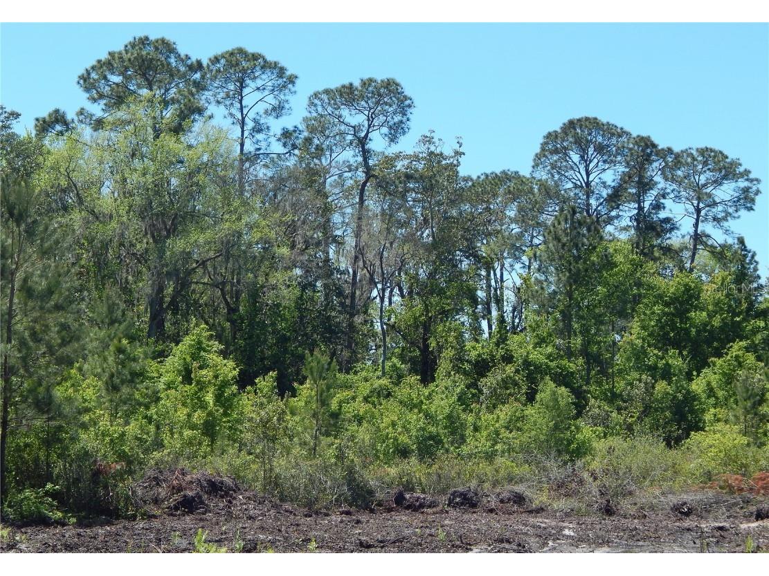 00 NW Union Park Road Wellborn FL 32094 GC520714 image1