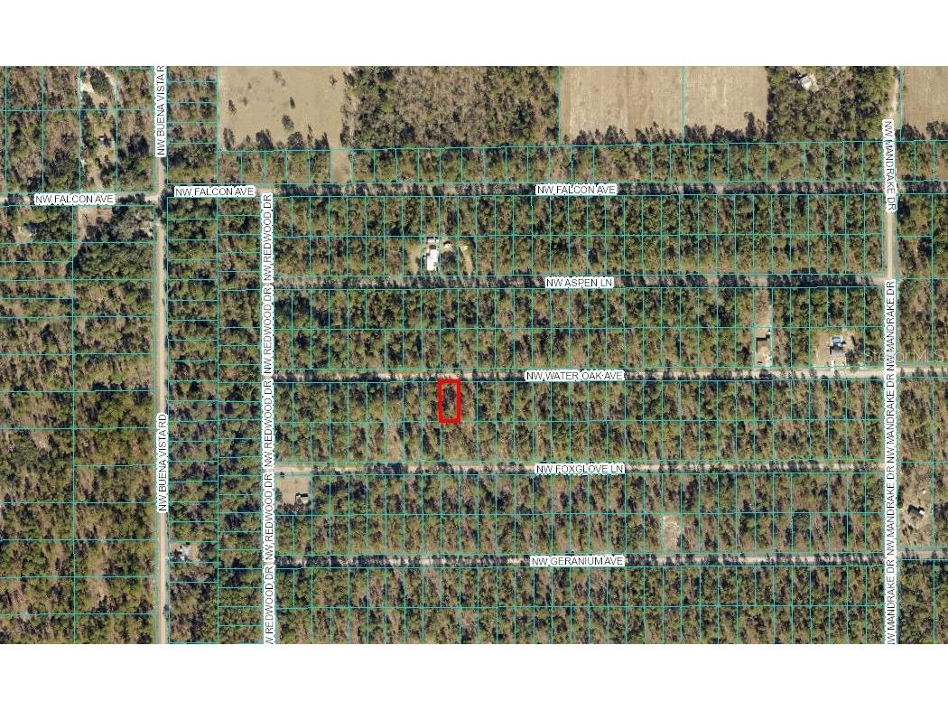 00 NW Water Oak Avenue Dunnellon FL 34431 OM644438 image1