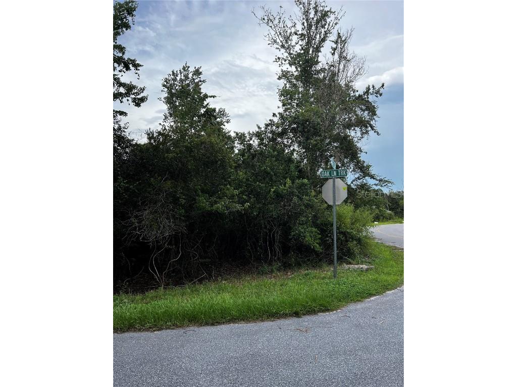 00 Oak Lane Loop Ocala FL 34472 OM661786 image1