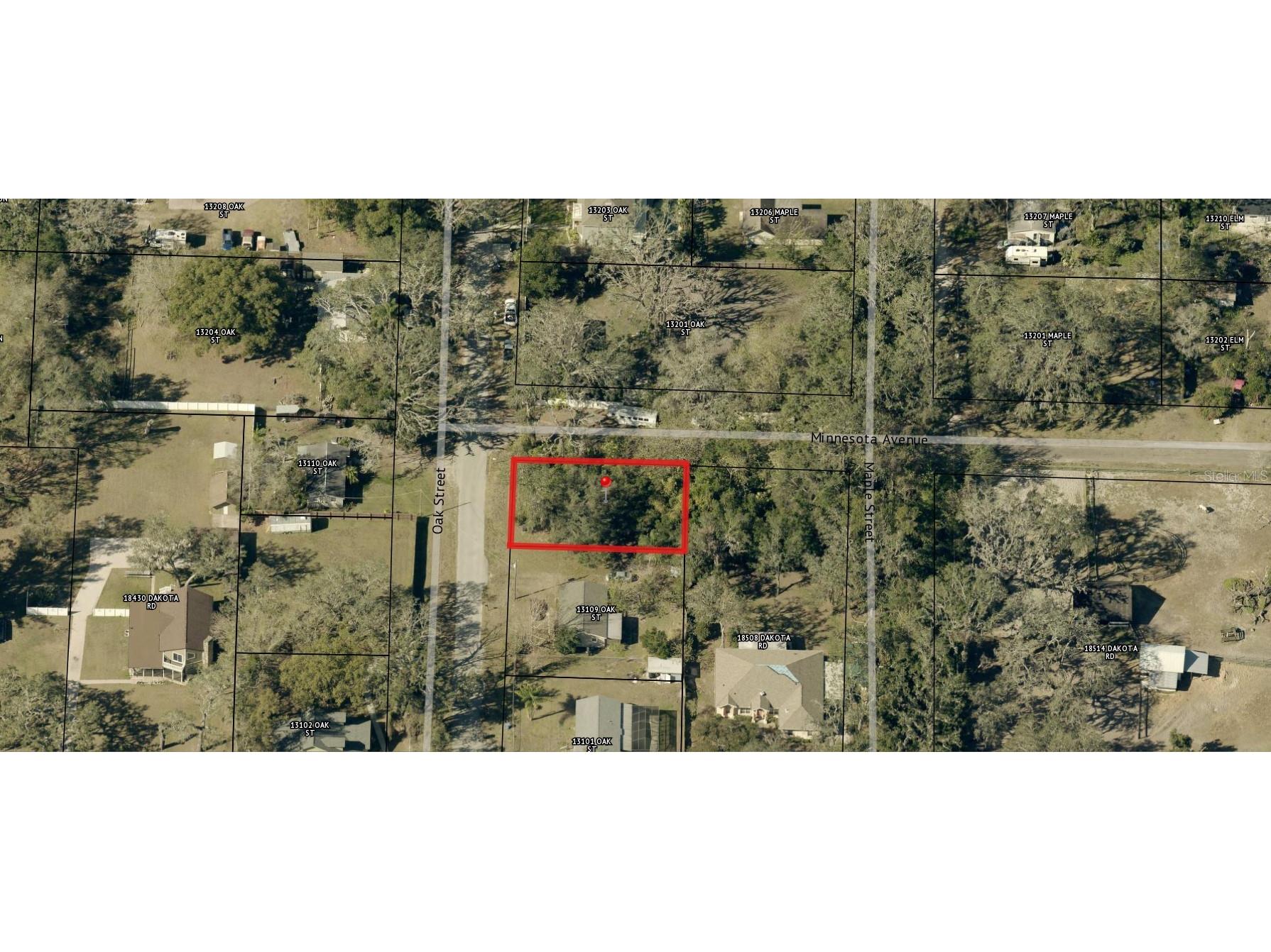 00 Oak Odessa FL 33556 O6410374 image10