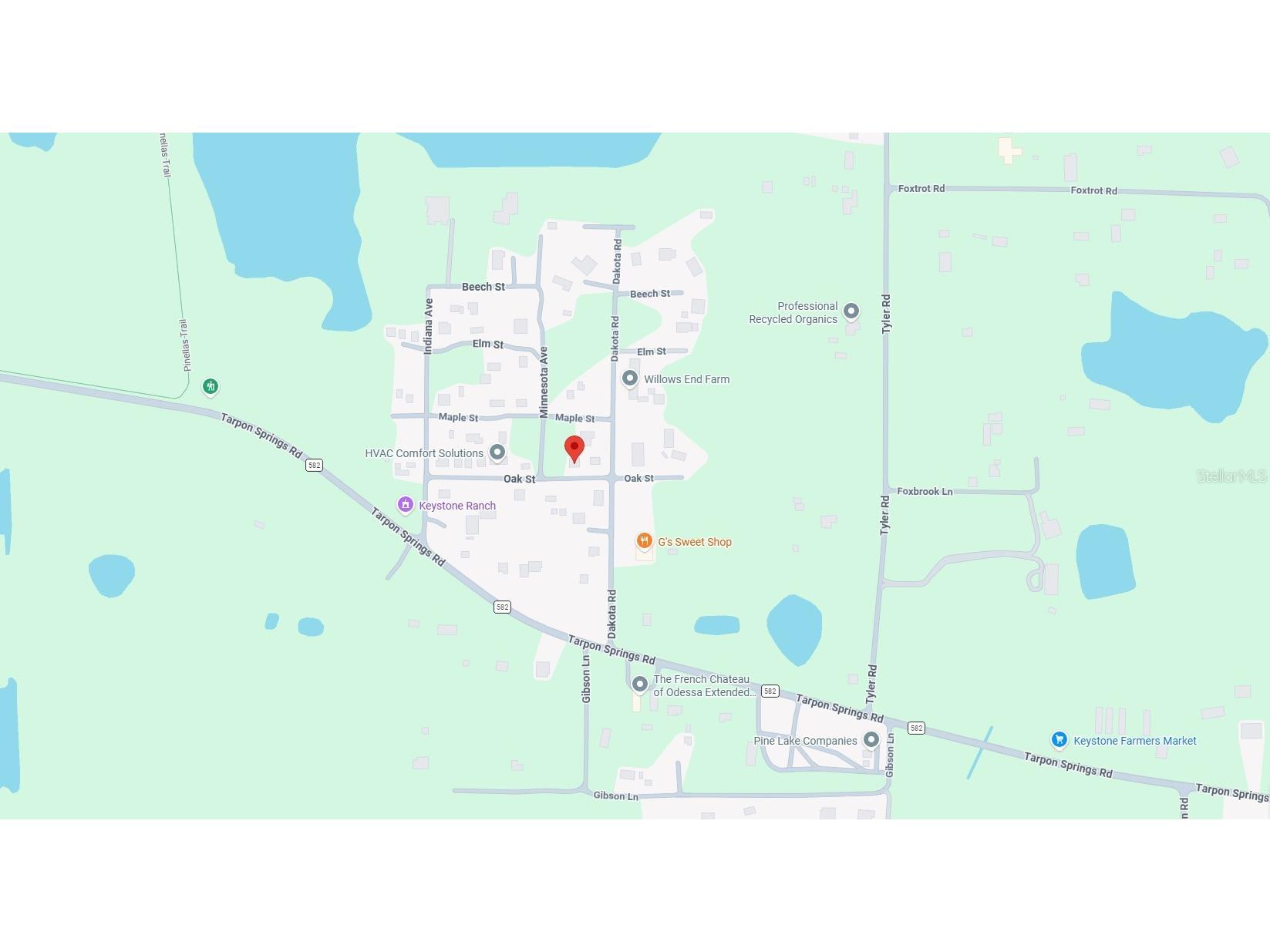 00 Oak Odessa FL 33556 O6410374 image13
