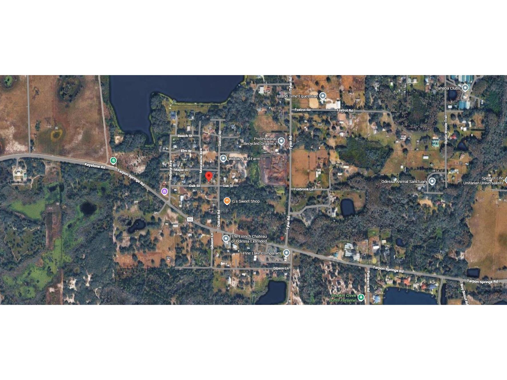 00 Oak Odessa FL 33556 O6410374 image14