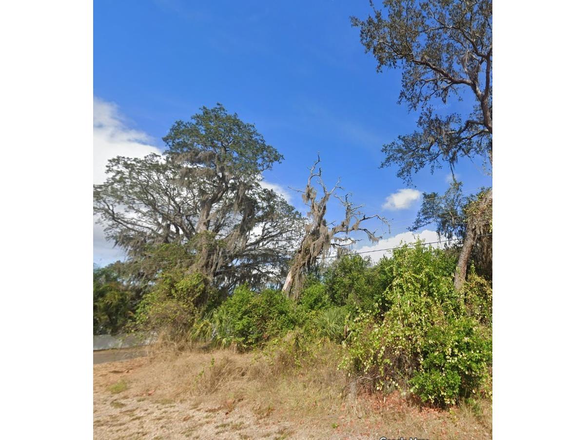 00 Oak Odessa FL 33556 O6410374 image2
