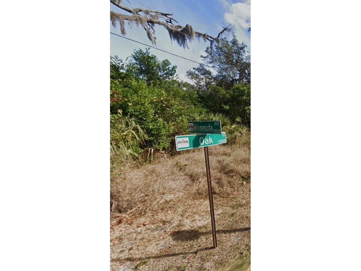 00 Oak Odessa FL 33556 O6410374 image3