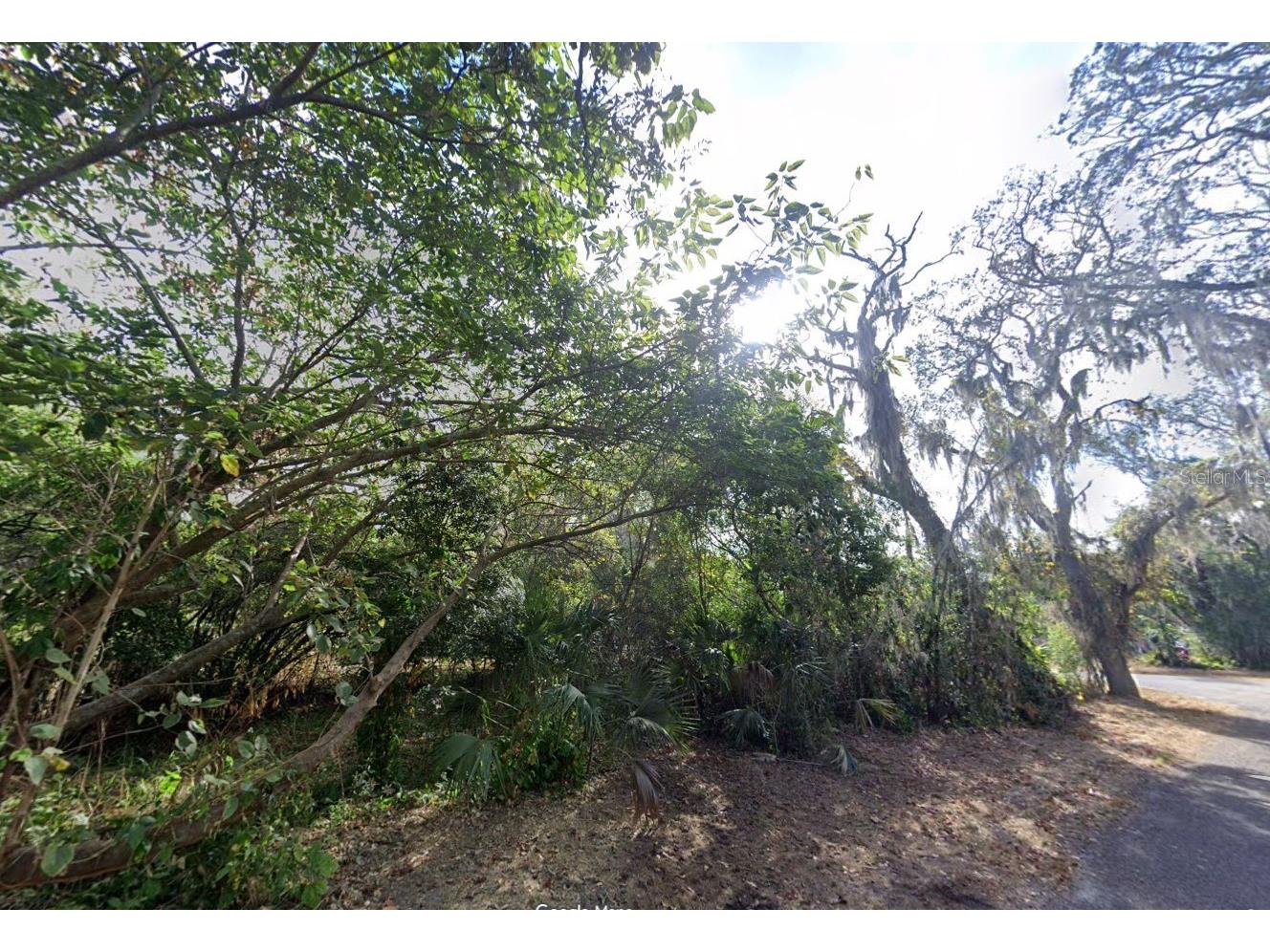 00 Oak Odessa FL 33556 O6410374 image4