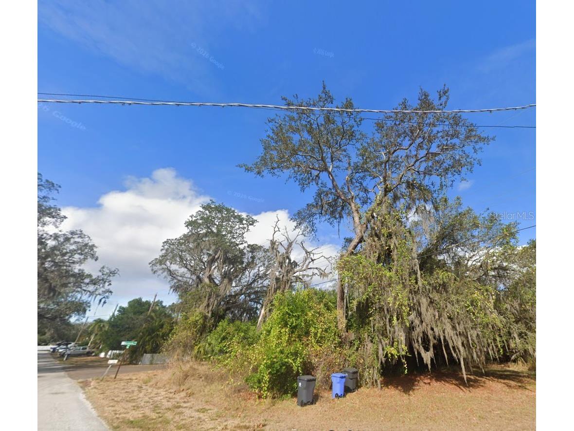 00 Oak Odessa FL 33556 O6410374 image5