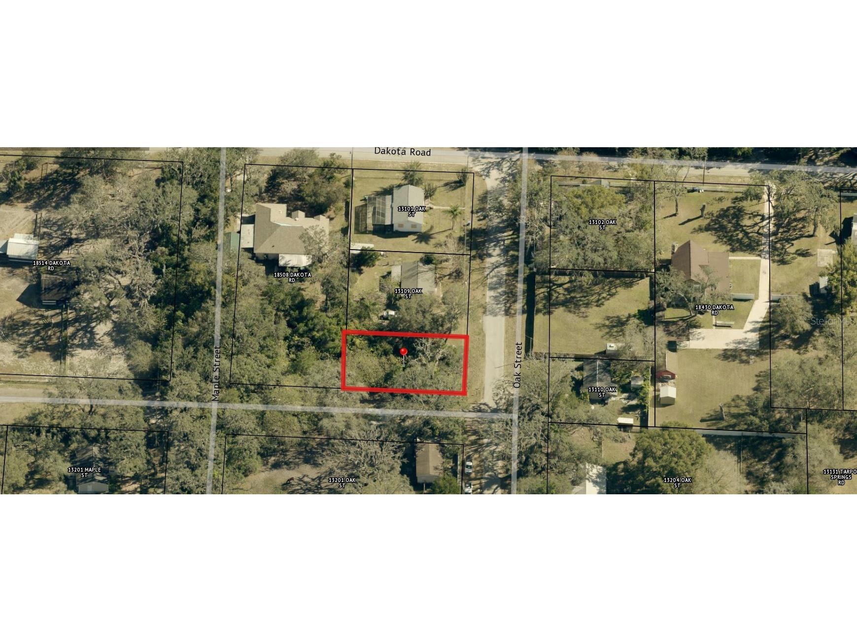 00 Oak Odessa FL 33556 O6410374 image8