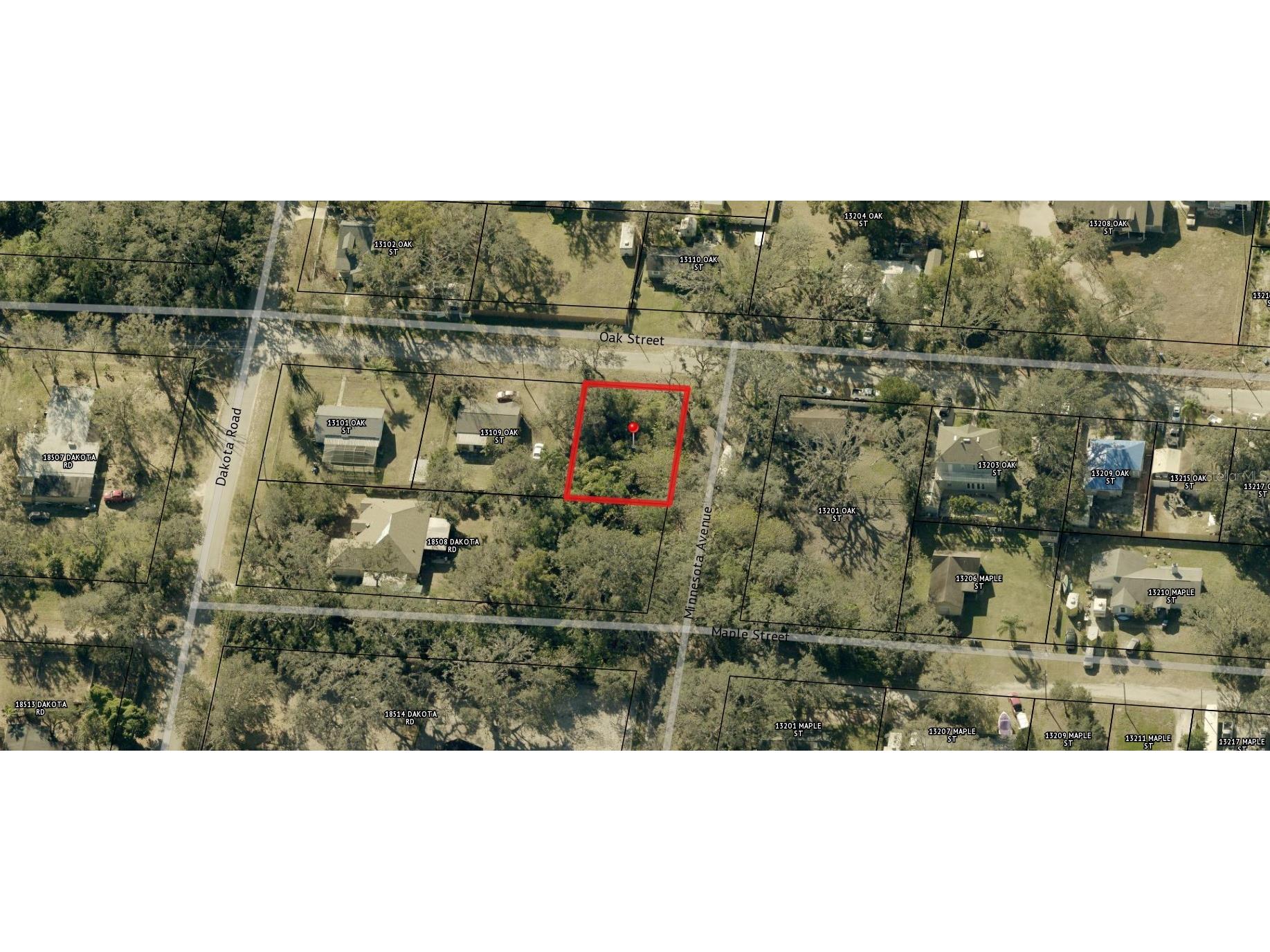 00 Oak Odessa FL 33556 O6410374 image9
